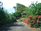 Oahu North